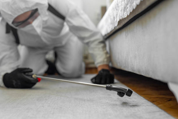Professional Bed Bug Control technician working in Graham, TX
