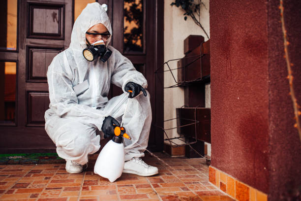 Reliable Bed Bug Control contractor in Graham, TX by Nex Pest Control